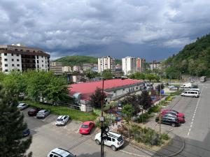 miasto z samochodami zaparkowanymi na parkingu w obiekcie Central Place to Stay w mieście Reşiţa
