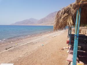a beach with a bunch of chairs and the ocean at New Mabroka in Nuweiba