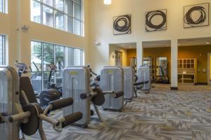 a gym with rows of treadmills and machines at U2 penthouse Downtown Houston WI-FI/free parking in Houston