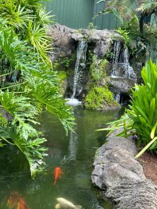 un laghetto con cascata e pesci rossi in giardino di Outrigger Kauai Beach Resort & Spa - Rm 1115 a Lihue