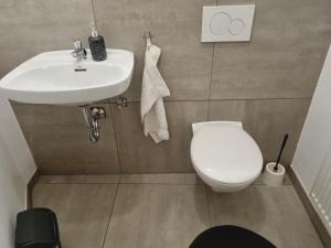 ein Bad mit einem Waschbecken und einem WC in der Unterkunft Only for Women on Tour in Bingen am Rhein