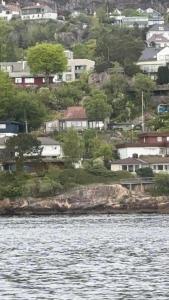 un grupo de casas en una colina junto al agua en Villa by the sea, close to the city, with panoramic views en Bergen