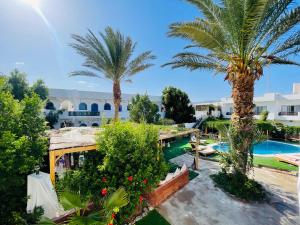 an aerial view of a resort with palm trees and a pool at Club Red Dahab Motel in Dahab