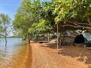 a tent on a beach next to a body of water at BOHO Glamping in Ấp Phú Cát