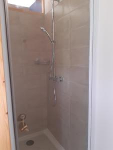 eine Dusche mit Glastür im Bad in der Unterkunft Cambrassa in Vals-les-Bains