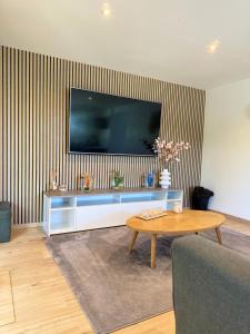 Televízia a/alebo spoločenská miestnosť v ubytovaní Sinalospa - Cosalà appartemement Sauna Jacuzzi Grande terrasse à 5 minutes de Nancy Place Stanislas