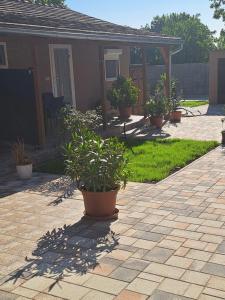 O grădină în afara Vivien apartman