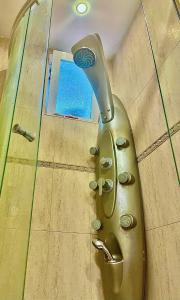 ein grünes WC im Bad mit Dusche in der Unterkunft Varna Cathedral Apartments in Warna