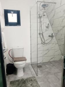 ein Bad mit einem WC und einer Glasdusche in der Unterkunft CarpatinA Rustic House in Runcu