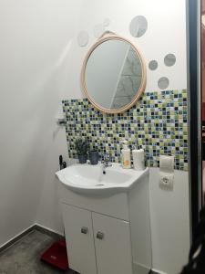ein Bad mit einem Waschbecken und einem Spiegel in der Unterkunft CarpatinA Rustic House in Runcu