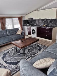 - un salon avec un canapé et une table dans l'établissement O'CHENA AKYUZ PAR in UZUNGÖL, à Çaykara