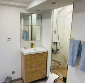 a bathroom with a sink and a shower at Appart Jardin Lac Casino Enghien Les Bains Paris JO2024 in Soisy-sous-Montmorency