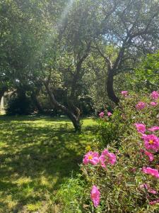 Zahrada ubytování charme, calme et authenticité côte des légendes