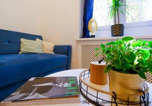 a living room with a blue couch and a table with a plant at BaySide Apartments City Center in Gdańsk
