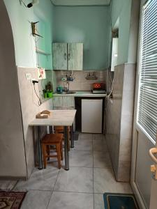 Kuchyň nebo kuchyňský kout v ubytování Guest House Nise