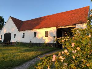 an old white barn with a red roof at Camønogaarden et B&B, kursus center og refugie på Østmøn in Borre