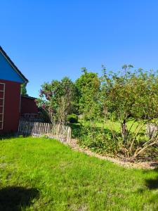 a yard with a fence and some trees and grass at Ferienhaus am Saaler Bodden in Saal