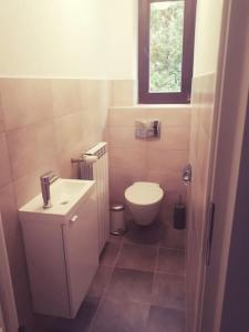 Koupelna v ubytování Apartament Roztoki 4a