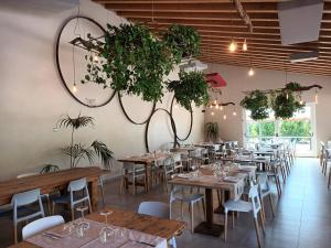 um restaurante com mesas de madeira, cadeiras e plantas em Agriturismo il Rovere em Lonato