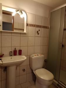 Łazienka z białą toaletą i umywalką w obiekcie LOUNA w mieście Metsovo