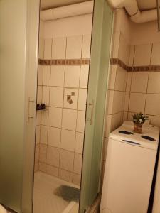 a bathroom with a shower and a refrigerator at LOUNA in Metsovo