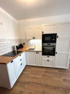 Kuchyň nebo kuchyňský kout v ubytování Club218 Holiday Apartman Siófok