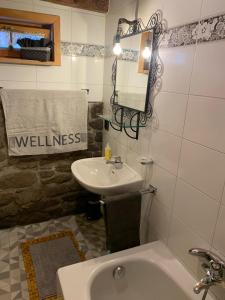 een badkamer met een wastafel, een toilet en een spiegel bij Ferienhaus // Waldlerhaus - Bayern - Bayerischer Wald in Windberg