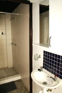a bathroom with a sink and a shower at The Residence at Villa Wiese in Swakopmund