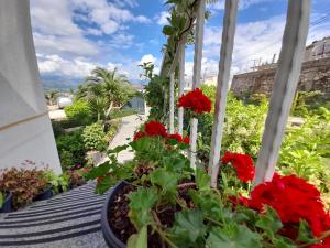a balcony with red flowers in a pot at Vila Marjana in Sarandë