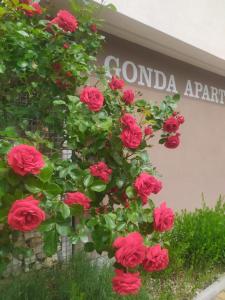 Zahrada ubytování Gonda Apartments