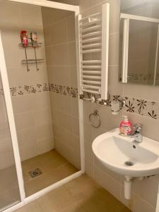 a bathroom with a sink and a shower at Jagodina Wing Apartman 2 in Jagodina