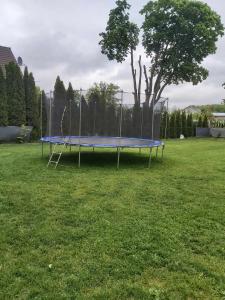 un trampoline bleu dans une cour avec un arbre dans l'établissement u Iwony na Kaszubach, à Nowa Wieś