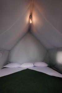 ein weißes Bett in einem Zelt mit Beleuchtung in der Unterkunft Wonderwoods Tent Camping Munnar in Munnar