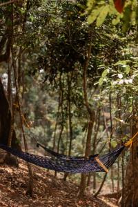 eine Hängematte, die von Bäumen im Wald hängt in der Unterkunft Wonderwoods Tent Camping Munnar in Munnar