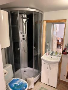 uma casa de banho com um chuveiro, um lavatório e um WC. em Līvijas apartamenti em Kuldīga