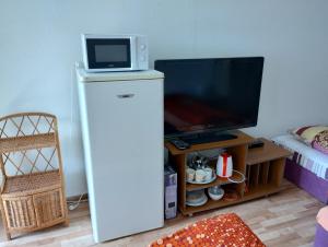 a microwave on top of a refrigerator with a tv at Apartmany Fantagiro in Kaluža