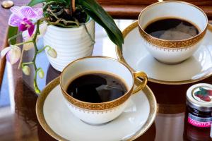 dos tazas de café en platos en una mesa en Villa Belvedere, en Pieve Fosciana