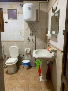 Baño pequeño con aseo y lavamanos en Cozy Nile view apartment, en Asiut