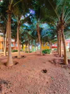 Elegant 2 BHK, Pool Front, Zennova Stays外面的花园
