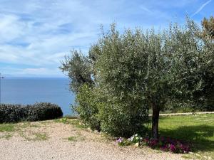 Paisagem natural perto do bed and breakfast