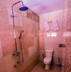 a bathroom with a shower and a toilet in it at Mianzi Guest House in Kisoro