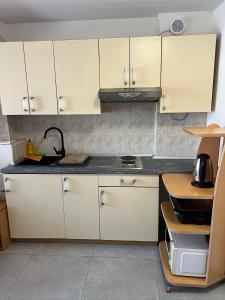 Kuchyň nebo kuchyňský kout v ubytování Rooms & Apartment Hegic
