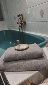 ein Badezimmer mit einer Badewanne und einem Handtuch in der Unterkunft Wohlfühlapartment in Wassernähe in Oderberg