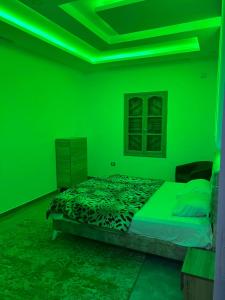 Ένα ή περισσότερα κρεβάτια σε δωμάτιο στο Villa dhia