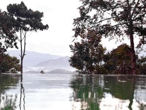 a body of water with trees and mountains in the background at Viceroy Luxury Mountain Resort and Spa in Munnar