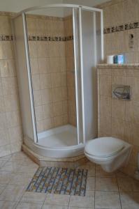 a bathroom with a shower and a toilet at Hotel Paradise in Ostrava