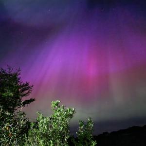 Balmoral Skye في بورتري: شعاع من الضوء في السماء مع الأشجار