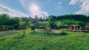 Rai Village في Băniţa: ميدان عشب مع الشمس في السماء