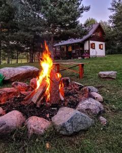 Fotografie z fotogalerie ubytování Chatka między sosnami v destinaci Bobrownik