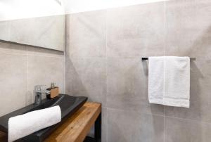 een badkamer met een wastafel en handdoeken aan de muur bij Chaleureux Studio 2 pers in Lyon